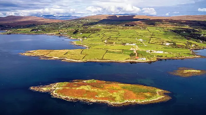 Mannion Island in Dunmanus Bay could become tourist hub Image