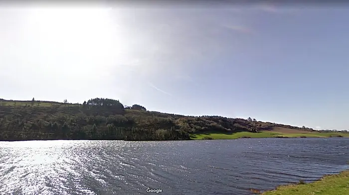 Major fish kill on a minor tributary of Bandon River confirmed Image