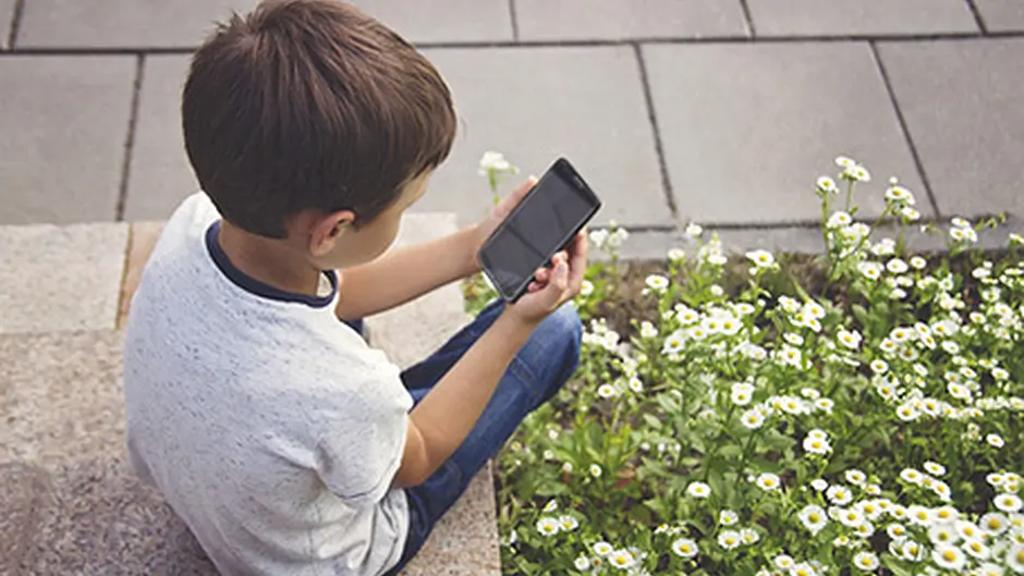 Smart Phones should be banned in all primary schools says TD Image