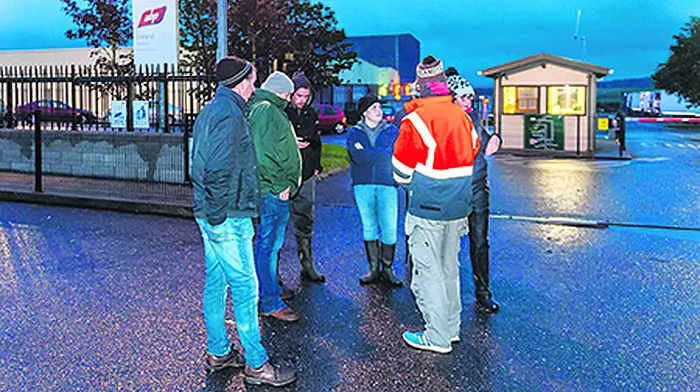 Animal welfare crisis looming if beef row not resolved soon Image