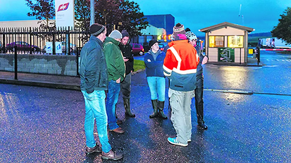 Animal welfare crisis looming if beef row not resolved soon Image