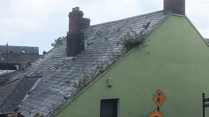 County mayor says it's time to say goodbye to Clon's town hall Image