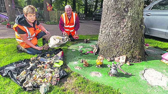 Vandals smash up Macroom's fairy garden Image