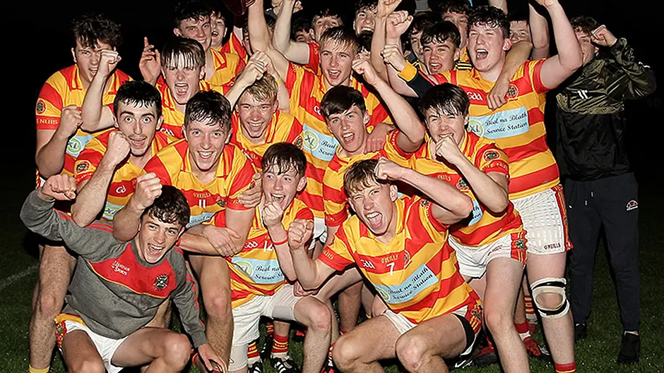 Newcestown minor hurlers rule the west Image