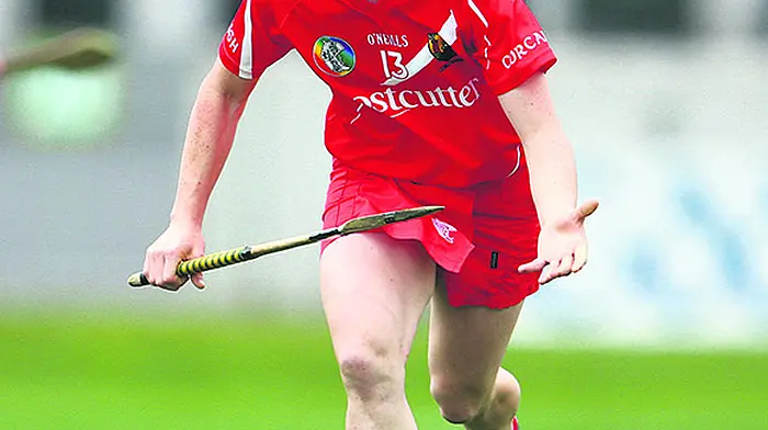 Briege is ready for the challenge after return Image