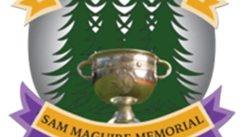 Clubs vote to accept radical changes to Carbery championships Image