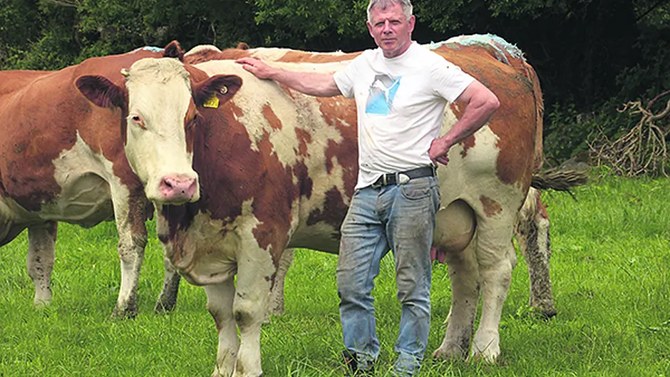 West Cork beef farmers fear uncertain future for sector Image