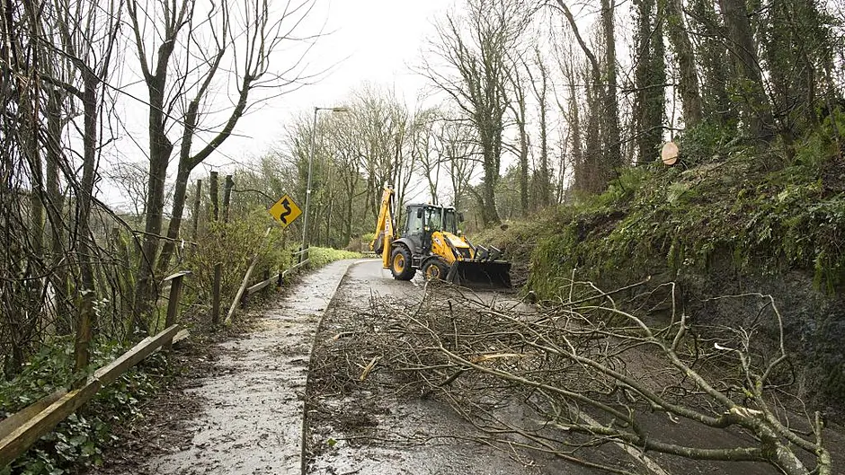 Road reopens in Courtmacsherry as fallen tree is cleared Image