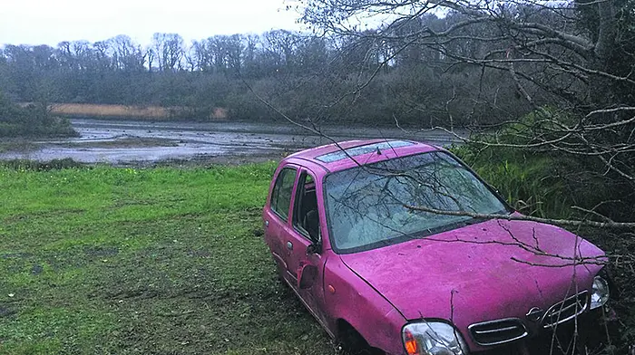 Hunt to find owner of dumped car Image