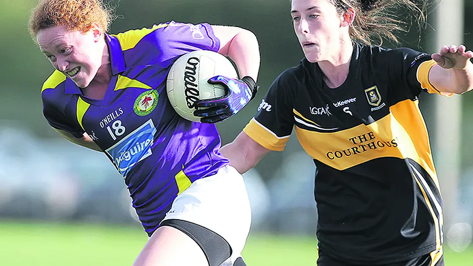 Cotter: We need to put on a show in the Páirc Image
