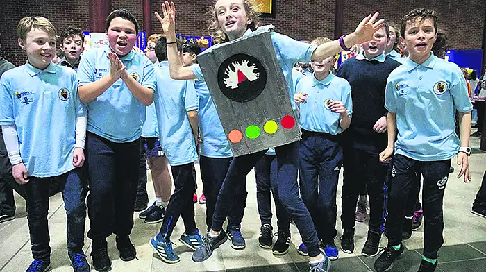 Nothing to ‘vex' 5th class students of Bandonbridge Image