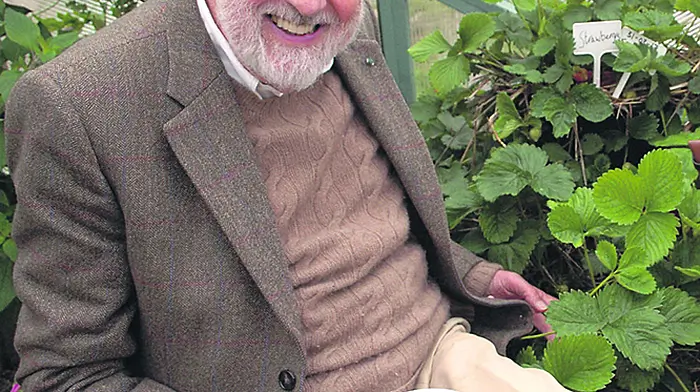 Puttnam warns UK of Brexit threat to Irish relations Image