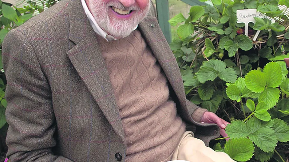 Puttnam warns UK of Brexit threat to Irish relations Image