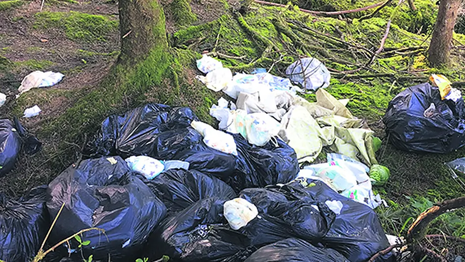 Dirty nappies and dead calves – are these the images we want to share? Image
