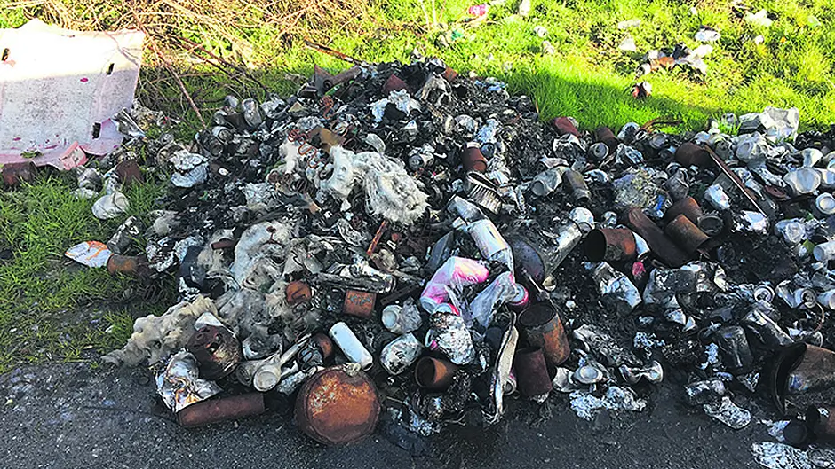 Bags of filthy nappies left to fester in picturesque forest Image