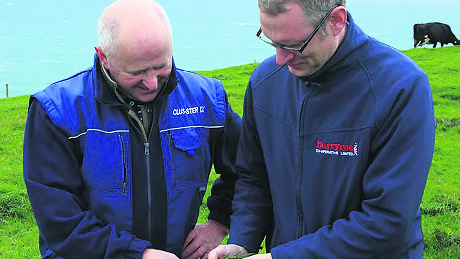 West Cork farmers providing a crucial raw ingredient for cream liqueur Image