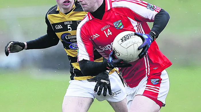 Beara hopeful that they can jump the first hurdle Image