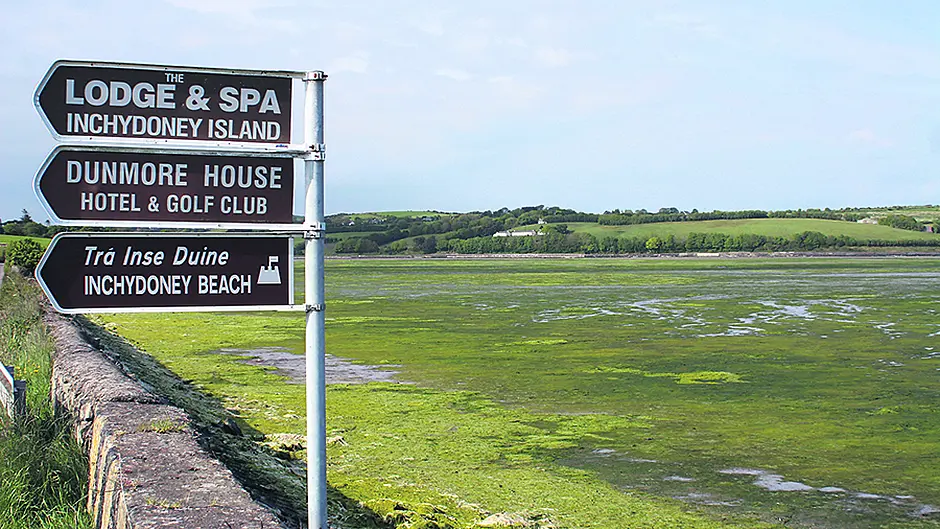 Farmers: ‘We're not to blame for West Cork's green tides' Image