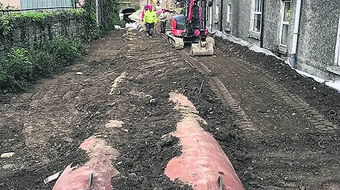 Bird habitat needs to be replaced after flood works Image