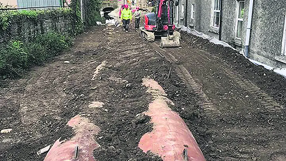 Bird habitat needs to be replaced after flood works Image