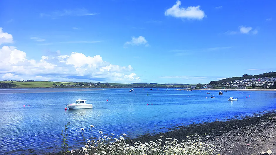 Lack of movement on Ring dredging works Image