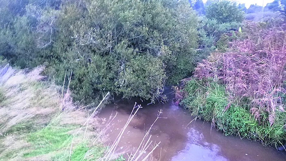 Pearl mussel habitat may be threatened Image