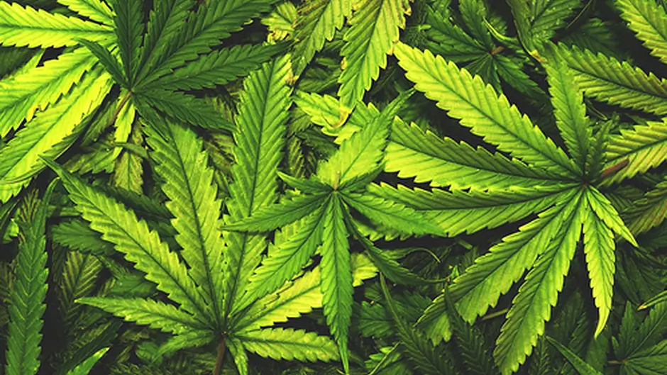 Man arrested after €14,400 worth of drugs seized in Skibbereen Image
