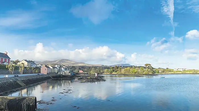 Cllrs back Castletownbere's ambitious €1.9m traffic plan Image