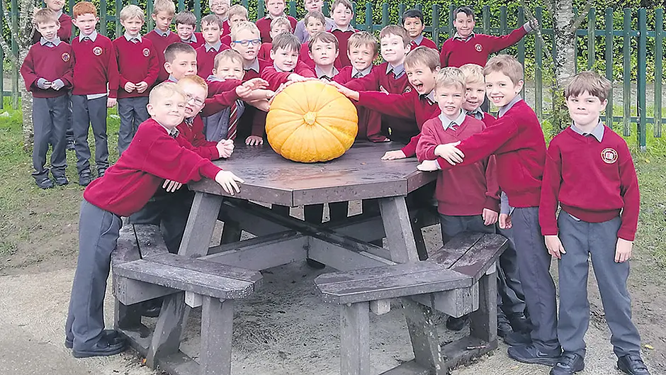 Monster pumpkin grown by Skibbereen boys Image