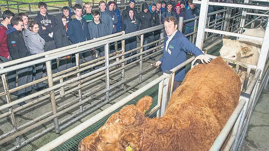 Great choice of agricultural training options locally Image