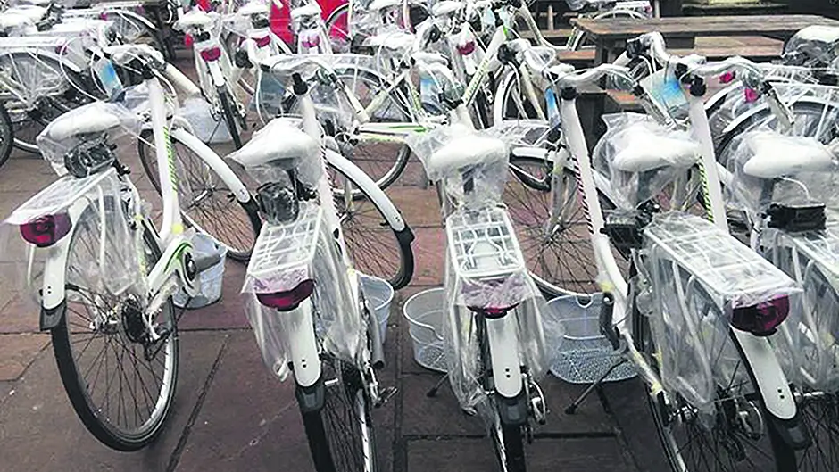 Local firms face insurance crisis Image