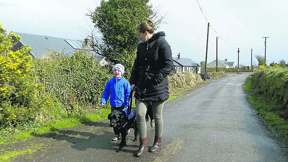 VIDEO: Heart-warming guide dogs show with local links Image