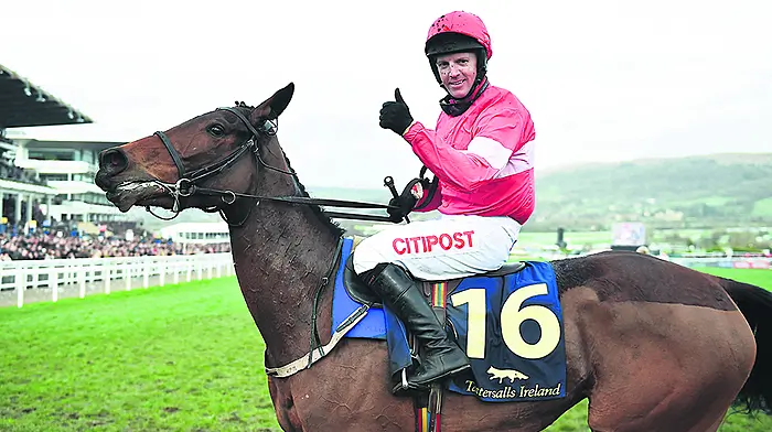 Fehily can excel in his new role Image