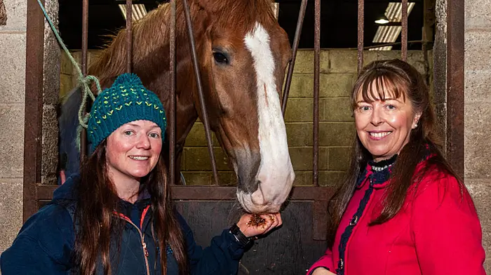 Charity equestrian show in aid of Lisheens House Image