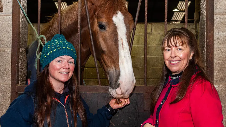 Charity equestrian show in aid of Lisheens House Image