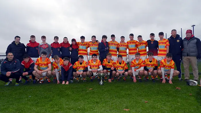 Newcestown minor hurlers show their class in county final triumph Image