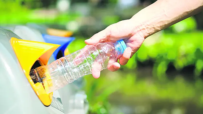 ‘Recycling bins should be in all our towns’ Image
