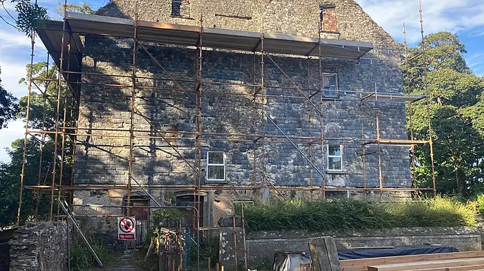 Castleview Mills to get €100,000 from Community Monuments Fund Image
