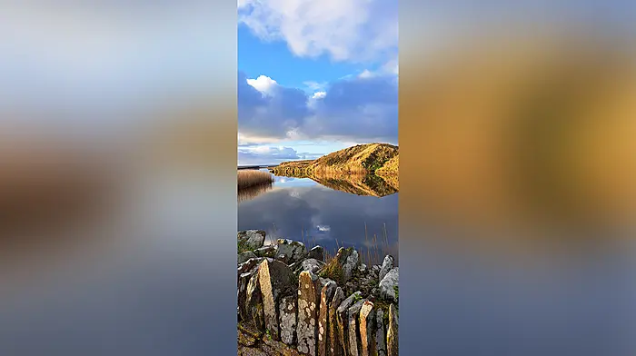 Reader's Picture of the Week Image