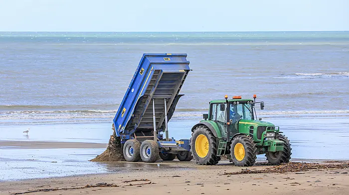Council workers returning sand to the beach that had been carried onto a nearby road during the recent Storm Kathleen at Garrylucas Beach.  (Photo: David Creedon)