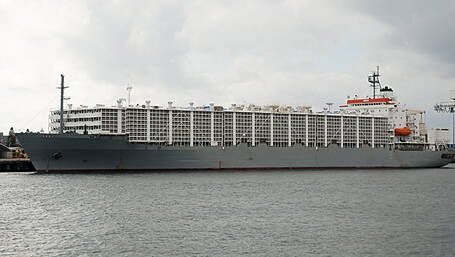 Kelleher asks minister to clarify ‘misinformation’ on Irish live export trade Image
