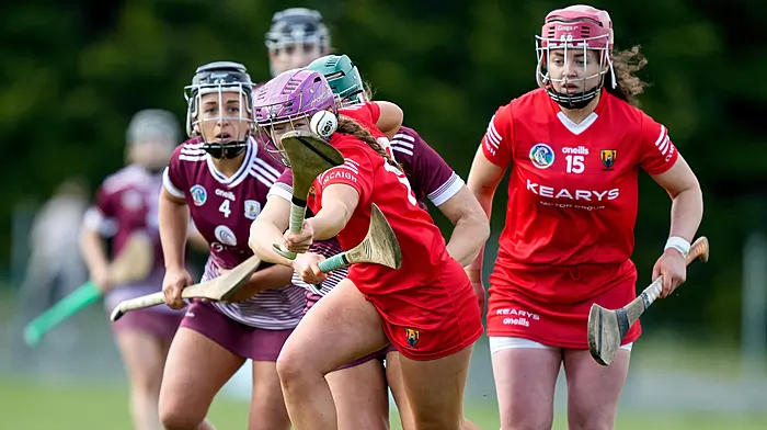Defeat of motions to let players wear shorts is ‘mind-boggling’ Image