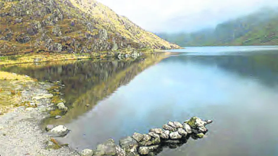 Beara projects held up over fears for freshwater mussels Image
