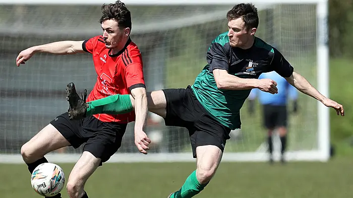 Cup joy for brilliant Bunratty Image