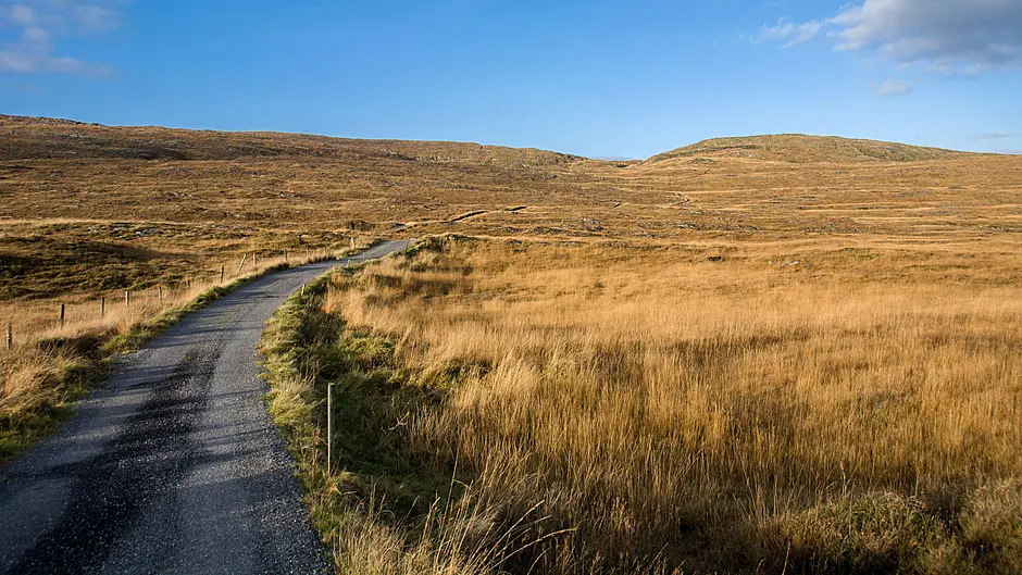 Funding for works to local trails will aid ‘walks’ tourism Image