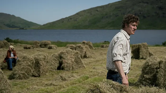 Special outdoor screening for Pat Collins' award-winning film at Fastnet Film Festival Image