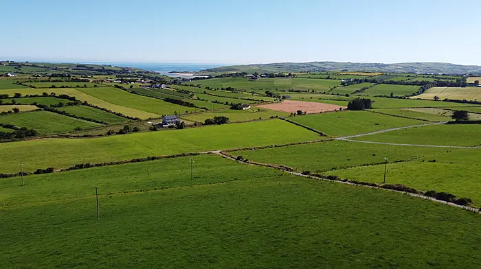 Revenue has left farming sector in ‘paralysis’ Image