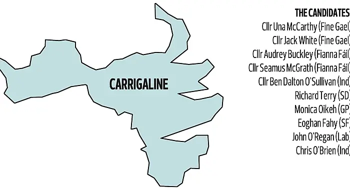 D’Alton exit means intriguing contest in Carrigaline Image