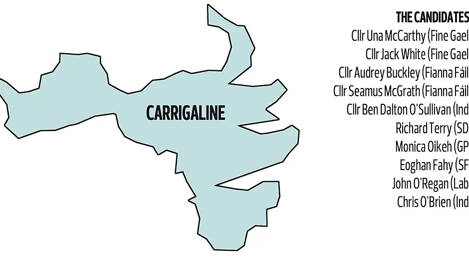 D’Alton exit means intriguing contest in Carrigaline Image