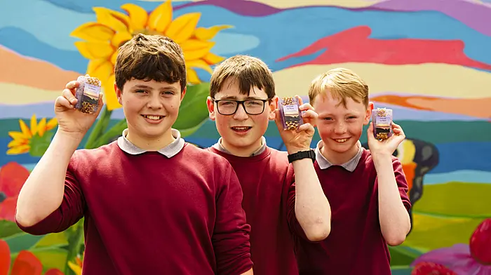 Lisheen and Summercove schoolkids show eye for business Image